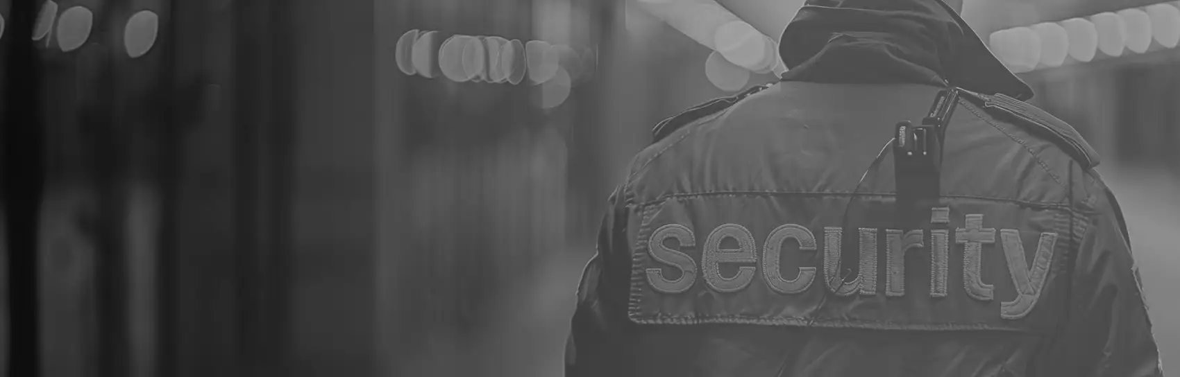 Gate Security Services Employees Image