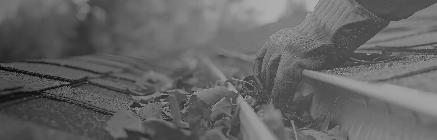 Gutter Cleaning Dublin Employees Image