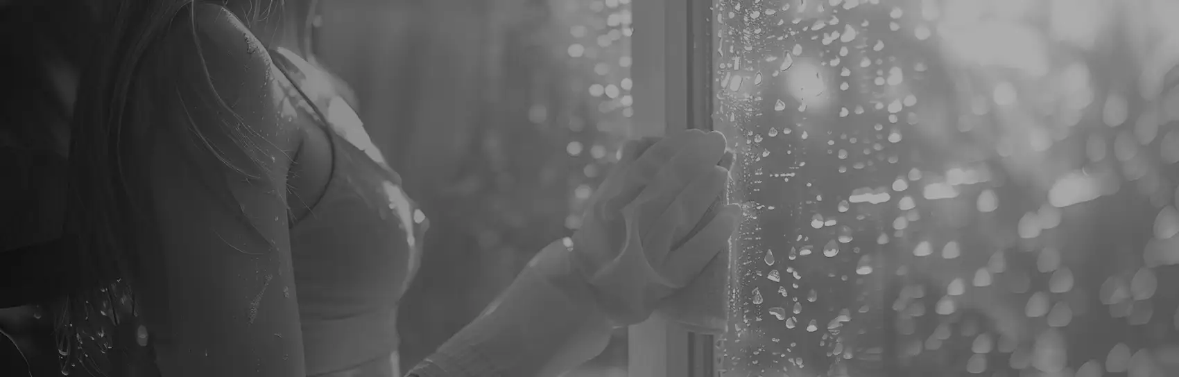 Window cleaning company Employees Image